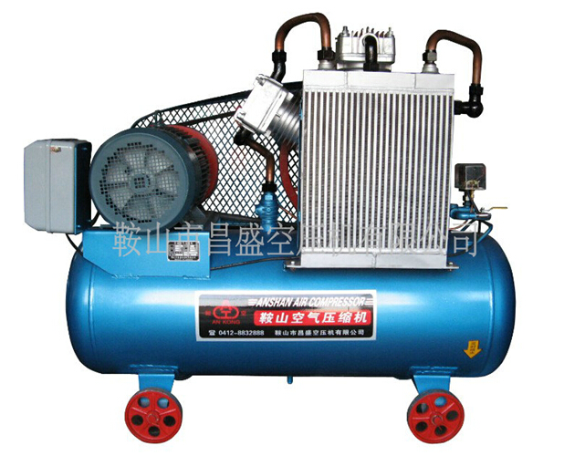 空壓機(jī)細(xì)分市場(chǎng)發(fā)展?fàn)顩r分析。